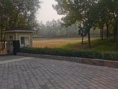 -大望京公园