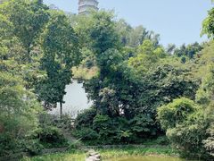 -深圳国际园林花卉博览园