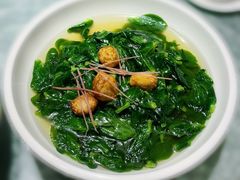 上湯豆苗-金悦轩海鲜城(渔人码头店)