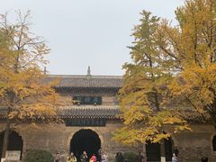 -灵谷景区