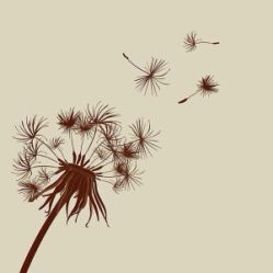 iphone_upload_pic-周忆刺青原创设计定制