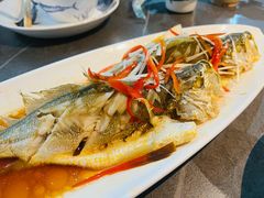 -前海沿·青岛菜(大拇指广场石老人店)