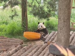 -西安秦岭野生动物园