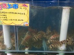 -蚝专家(北滘店)