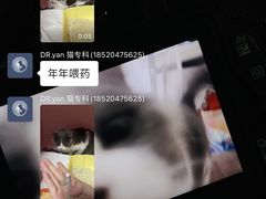 -严国平动物医院(德政总院)