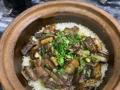 -红星光发煲仔饭(大石街店)