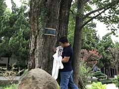-苏州文庙(姑苏区)