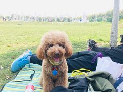 -武汉紫薇都市田园