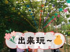 -兰陵国家农业公园