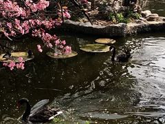 -昆明动物园