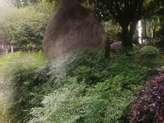 -龙头寺公园