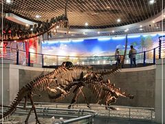 -国家自然博物馆