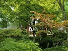 -狼山风景名胜区