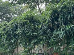 -宝弟羊肉馆(众意路店)
