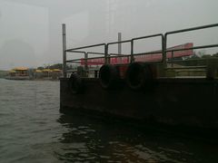 android_upload_pic-溱湖国家湿地公园