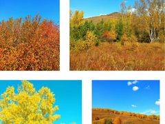 -塞罕坝国家级自然保护区