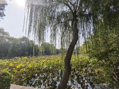 -莲池书院博物馆