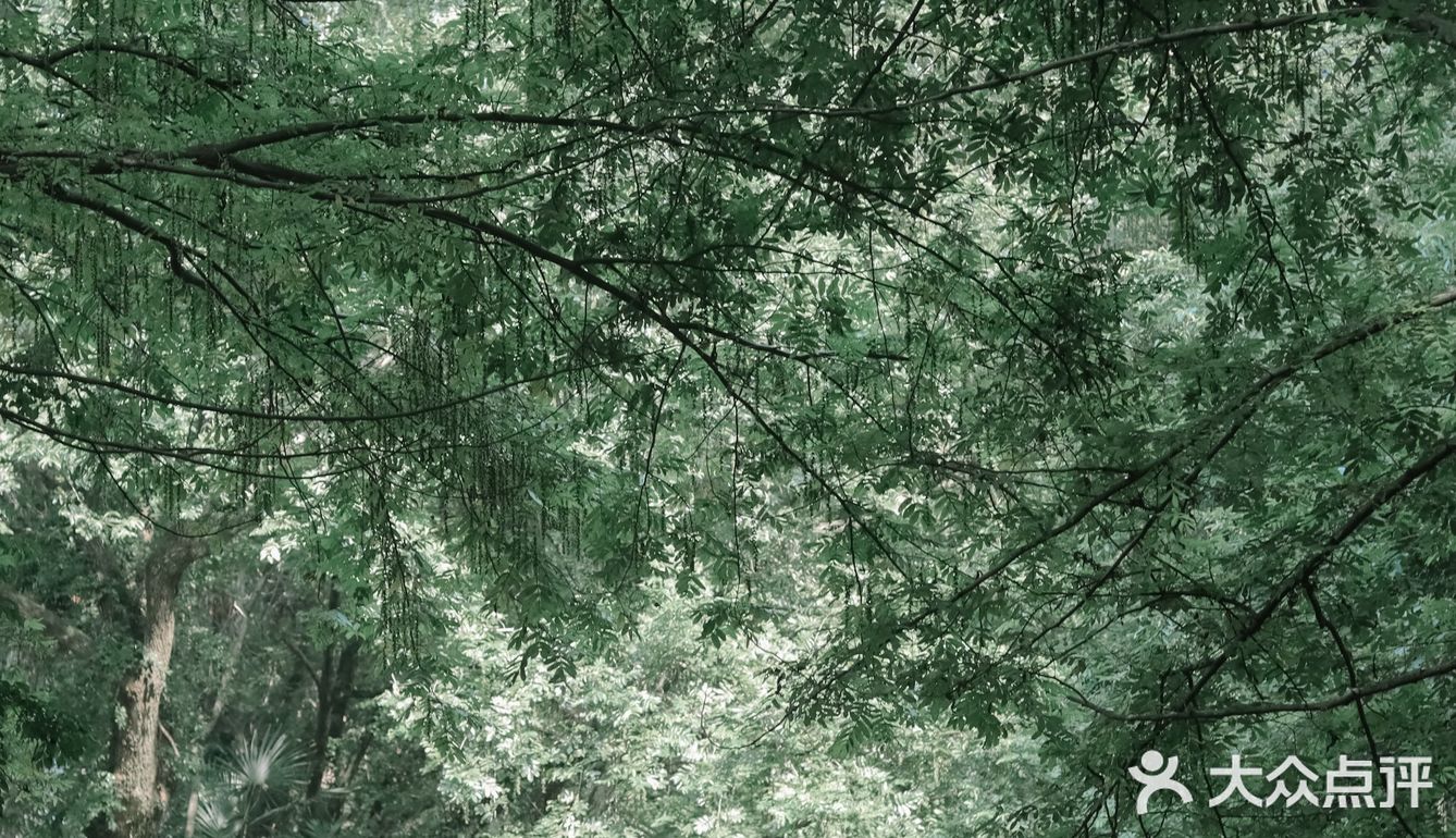 黄山·西溪南古村落 | 闯入童话中的绿野仙踪