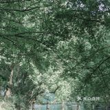 黄山·西溪南古村落 | 闯入童话中的绿野仙踪