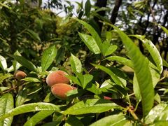 -九里河湿地公园