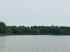 -苏州太湖国家湿地公园