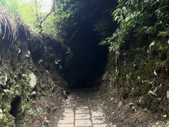 -苍山感通索道