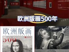 -南京书画院金陵美术馆