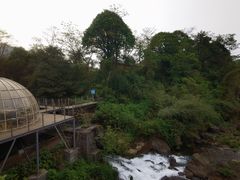 -龙苍沟森林公园