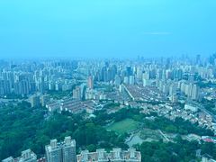 -上海龙之梦万丽酒店