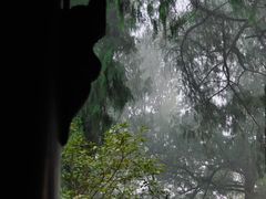-子昂故里文化旅游区