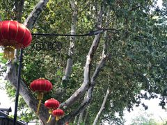 -老赵面店(大西路店)