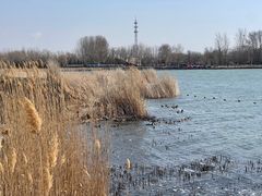 -野鸭湖国家湿地公园