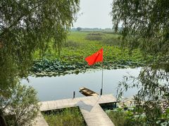 -洪湖生态旅游区