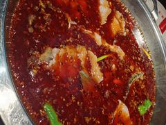 -蜀滋香鲜鱼美蛙火锅(339店)