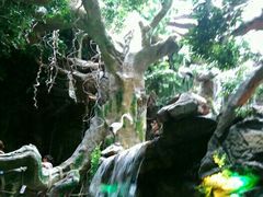 -多彩贵州城极地海洋世界