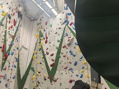 -绿壁虎攀岩基地(Tcar店)