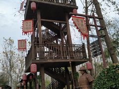 -合肥滨湖国家森林公园