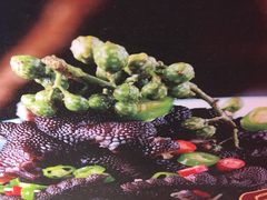 -百年神厨·地道川菜(清江西路店)