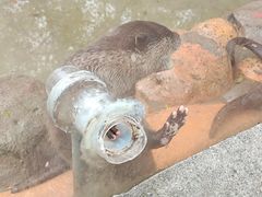 -杭州野生动物世界
