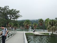 -星湖旅游景区七星岩
