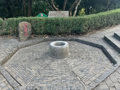 -上海佘山国家森林公园天马山园