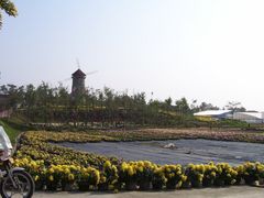 东篱菊园-三圣花乡旅游区