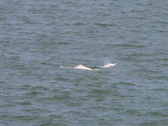 -那琴半岛地质海洋公园