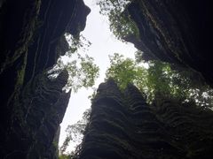 -梭布垭石林景区