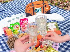 -上海共青森林公园