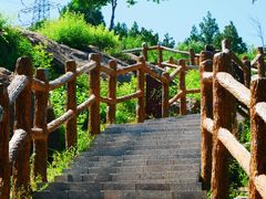 -白水寺森林公园