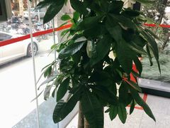 -招商银行ATM(静安寺支行)