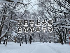 -北海道神宫