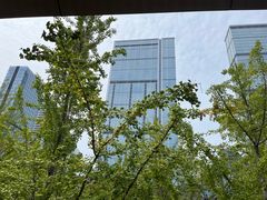 -柴门饭儿(成都太古里店)