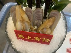-喜聚薈·花膠雞海鮮火鍋(越秀店)